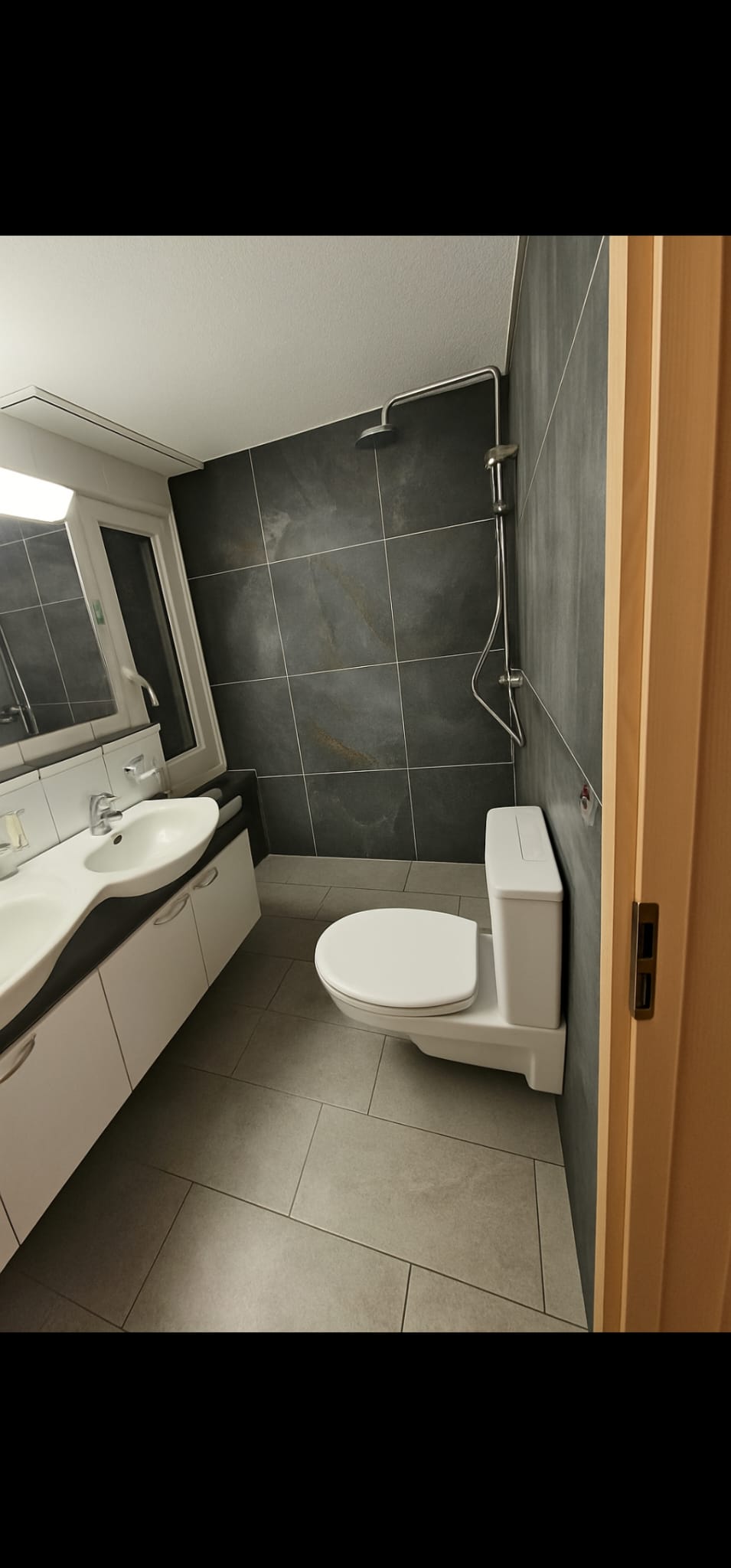 Badezimmer mit Dusche und WC in dunklen Fliesen